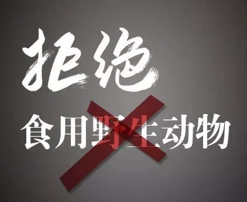 5d8cf0490ca84b67b995a9353bdeb9a4.Png